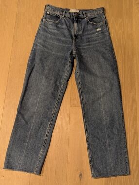 Everlane Mid-Blue Straight Jeans (28L)
